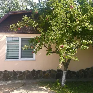 With Kitchen And Garden Апартаменты